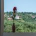 Sonstige
