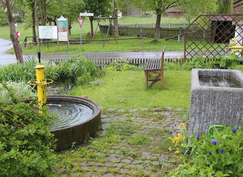 Sonstige Foto