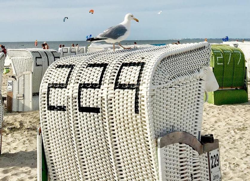 Sonstige Foto