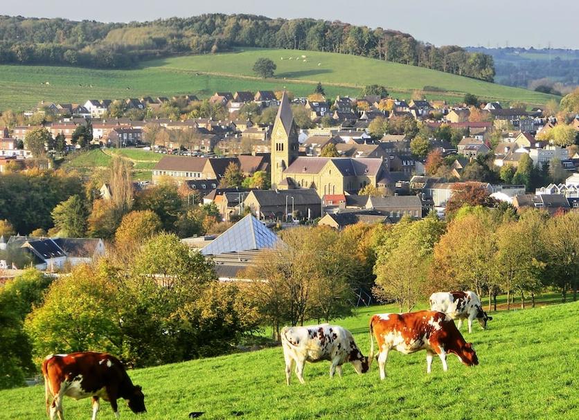 Sonstige Foto