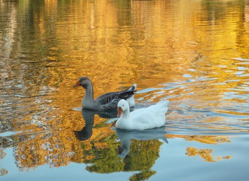 Sonstige Foto