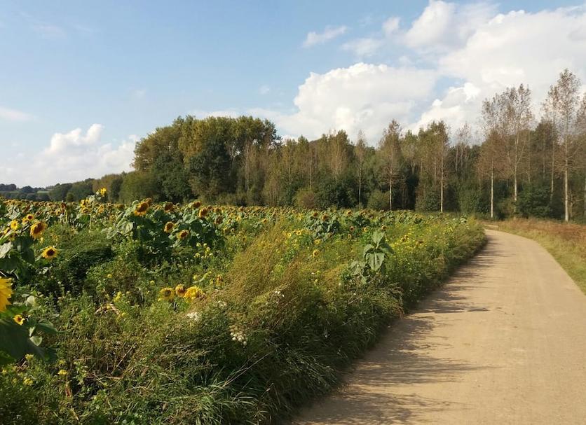 Außenansicht Foto