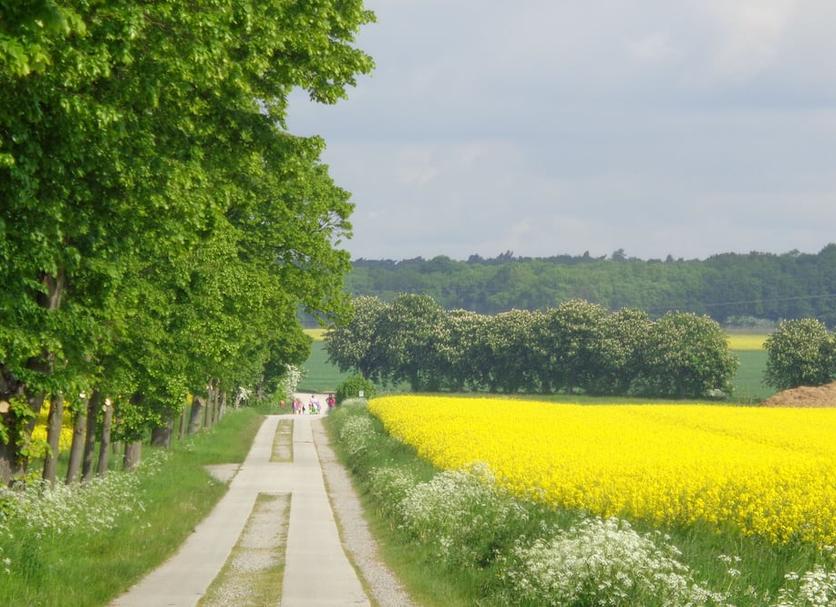 Außenansicht Foto