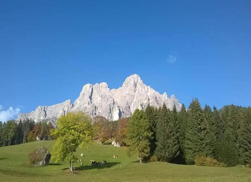 Außenansicht Foto