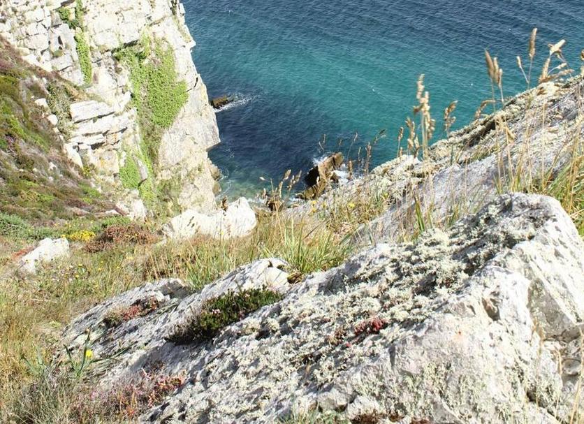 Strand Foto