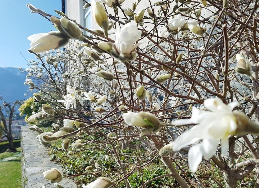 Außenansicht Foto