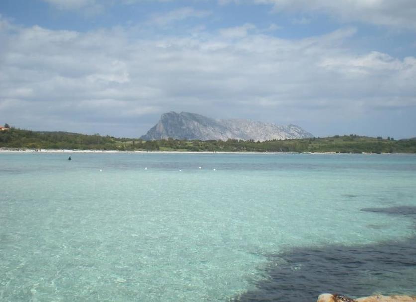 Sonstige Foto