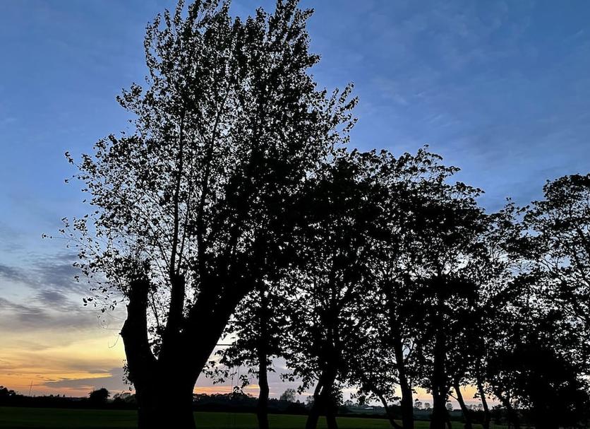 Außenansicht Foto