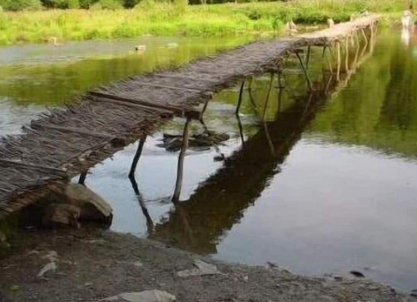 Sonstige Foto