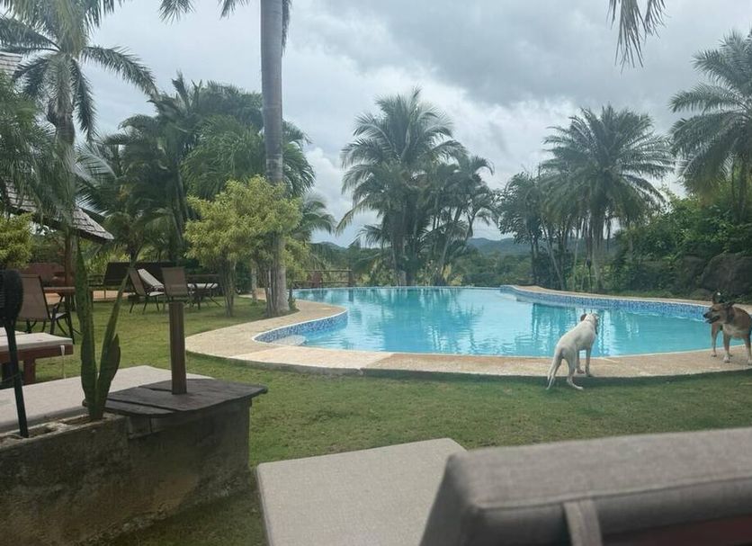 Pool Foto
