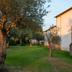 Sonstige
