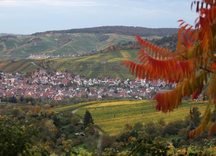 Außenansicht Foto
