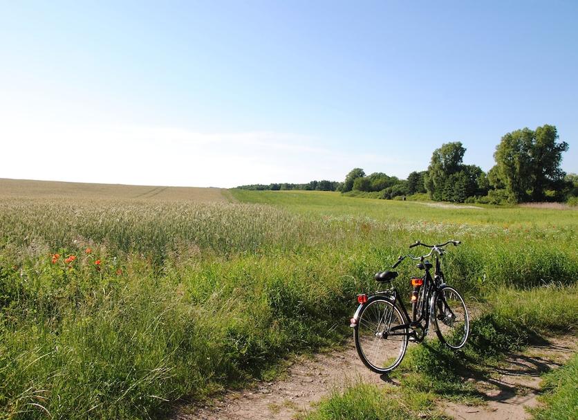 Außenansicht Foto