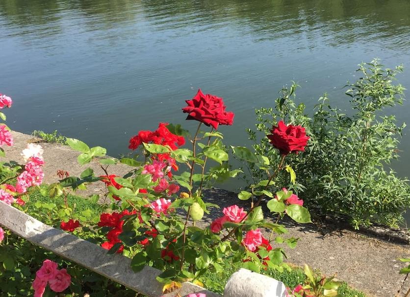 Außenansicht Foto