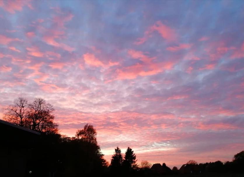 Außenansicht Foto