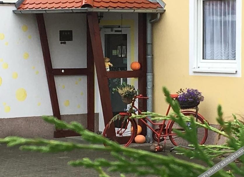 Sonstige Foto