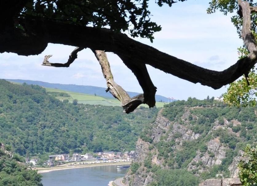Außenansicht Foto