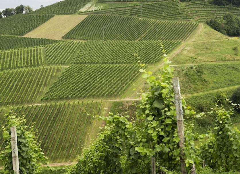 Außenansicht Foto