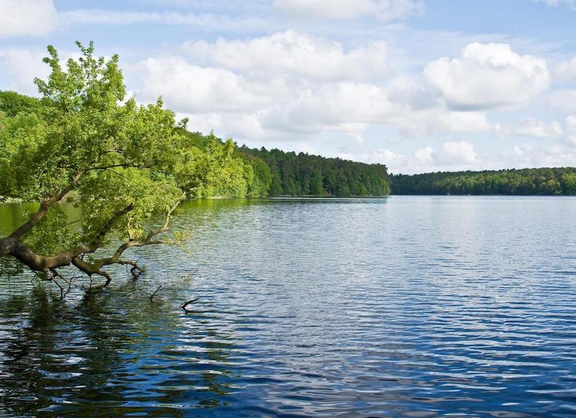 Außenansicht Foto