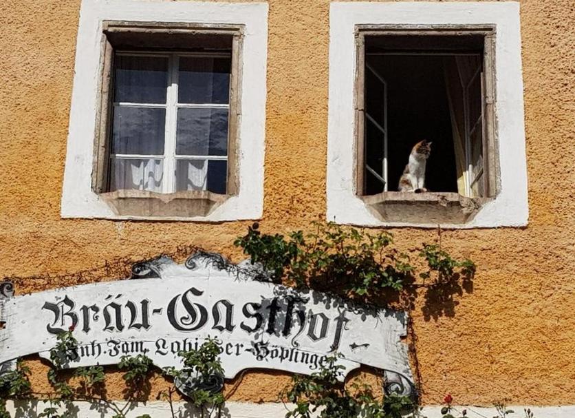 Außenansicht Foto