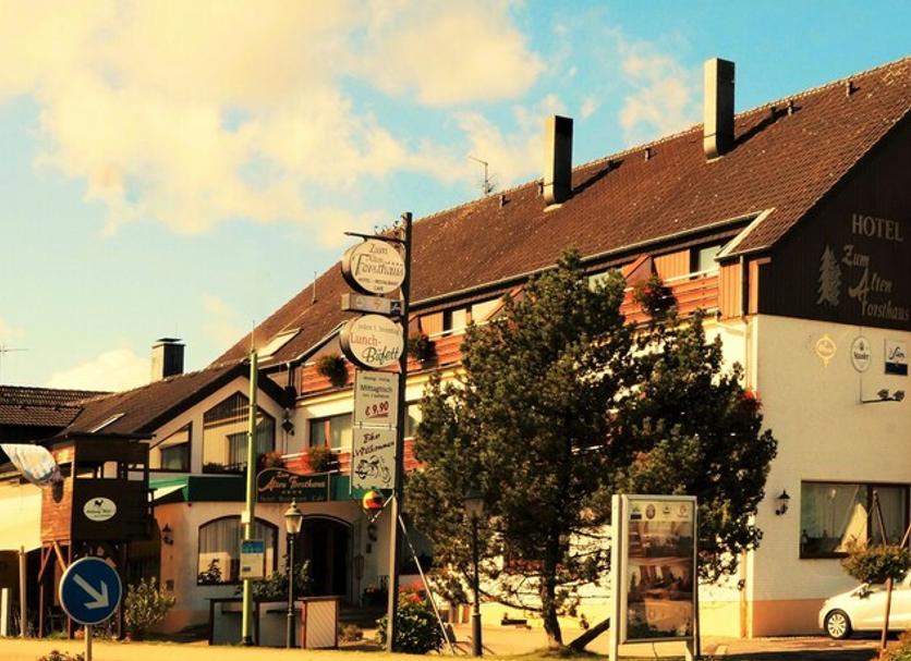Sonstige Foto