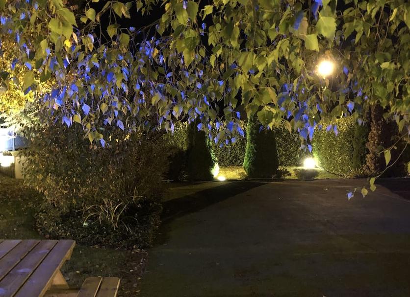 Außenansicht Foto