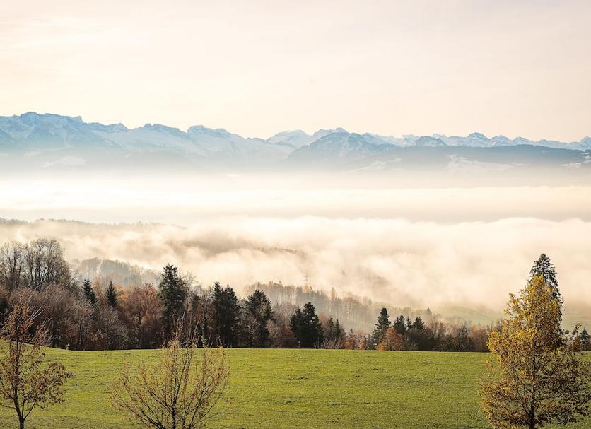 Außenansicht Foto