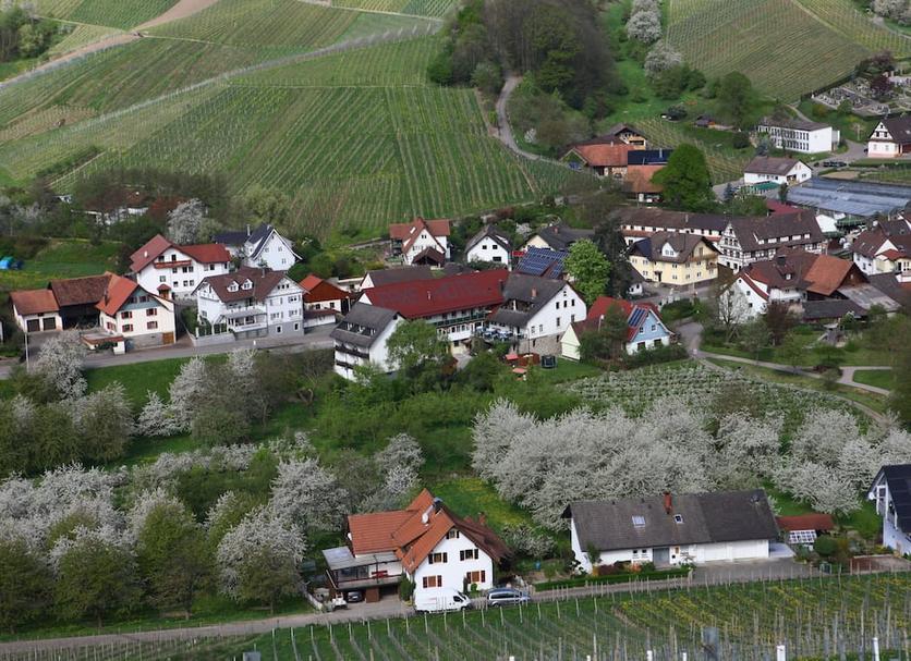 Sonstige Foto