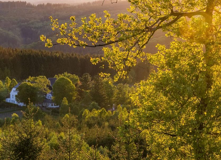 Außenansicht Foto