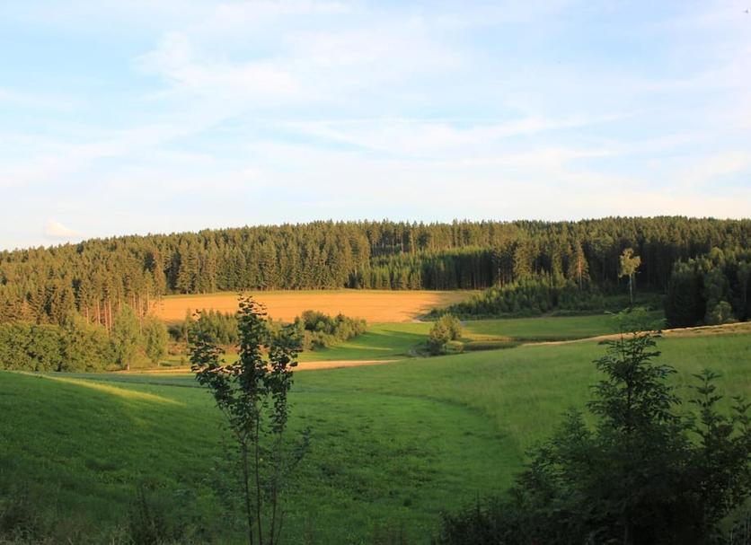 Außenansicht Foto