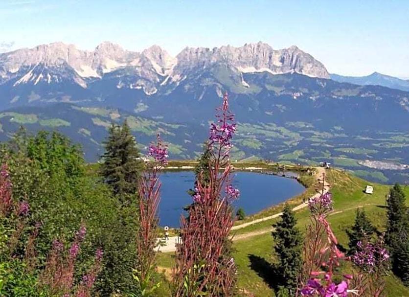 Außenansicht Foto