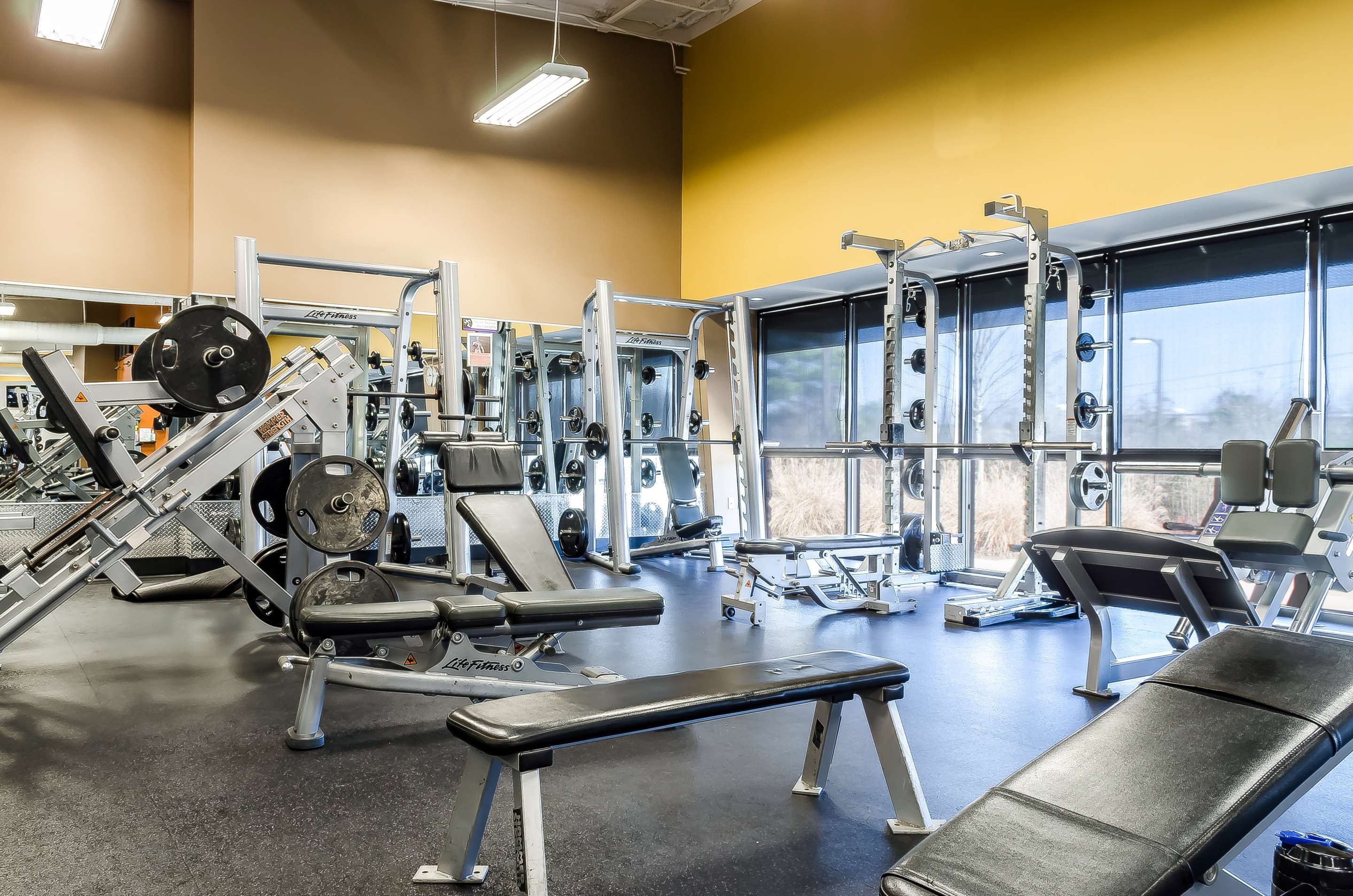 Fitnessbereich