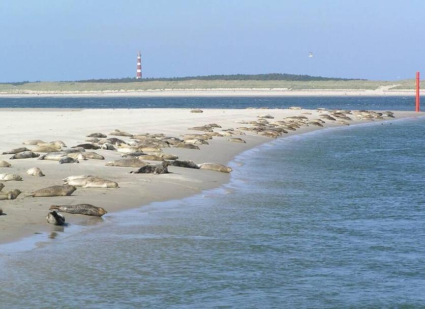 Strand Foto