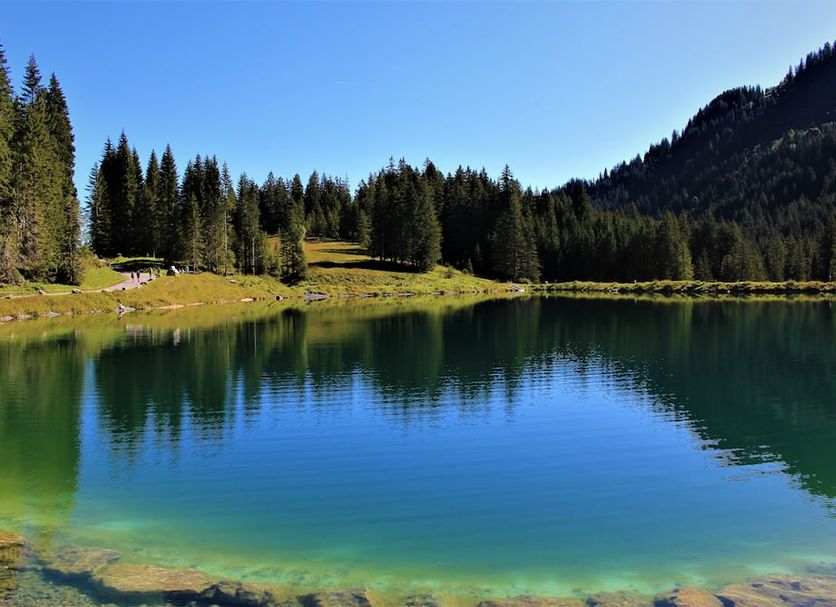 Sonstige Foto