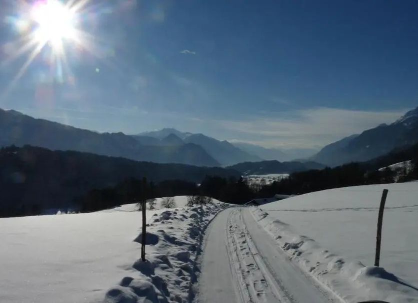 Sonstige Foto