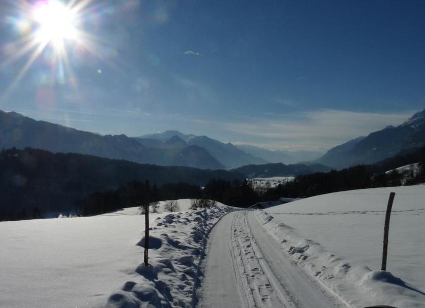Sonstige Foto