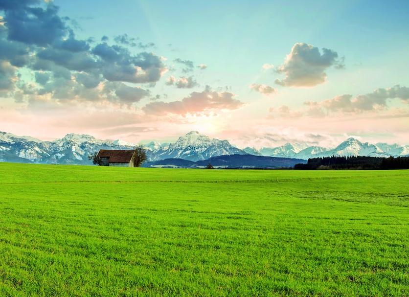 Außenansicht Foto