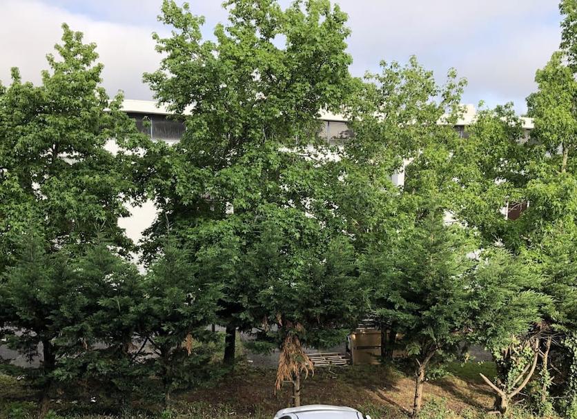 Außenansicht Foto