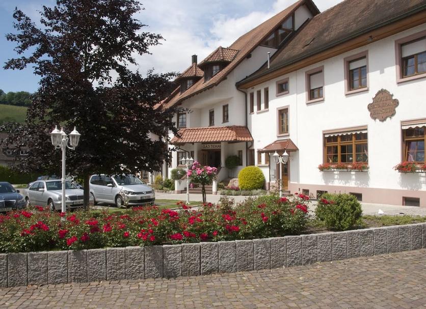 Sonstige Foto