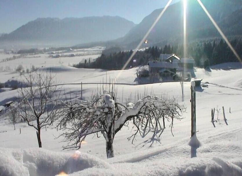 Sonstige Foto