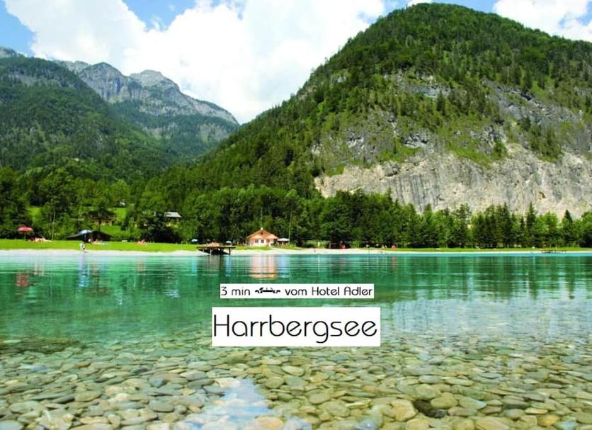 Sonstige Foto