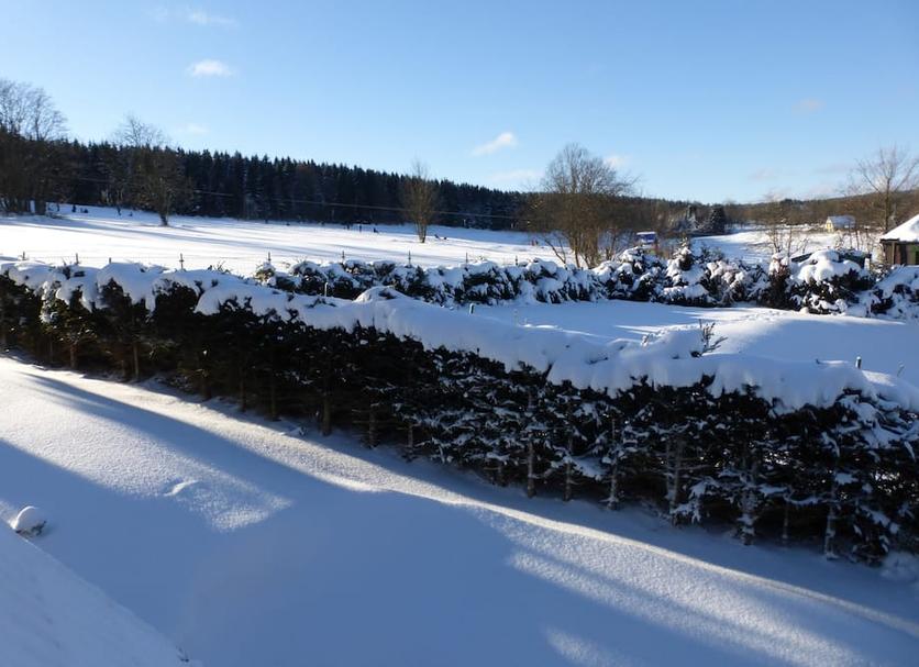 Außenansicht Foto