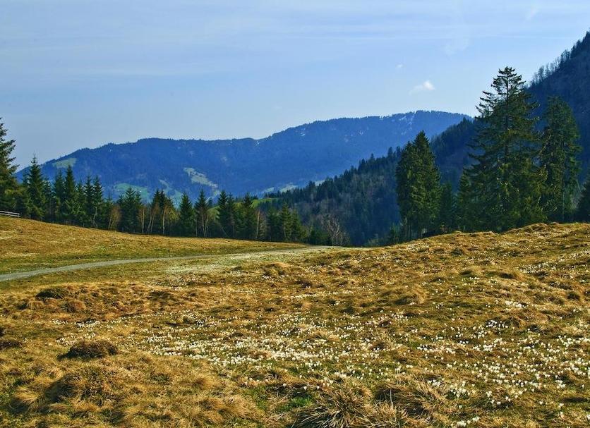 Außenansicht Foto