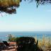 Sonstige