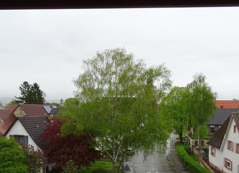 Außenansicht Foto