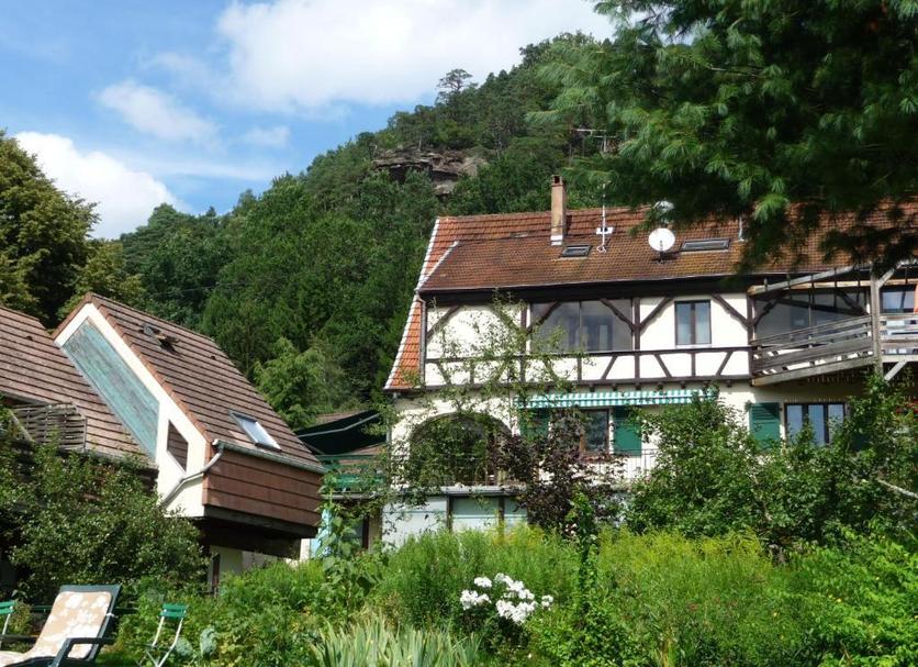 Sonstige Foto