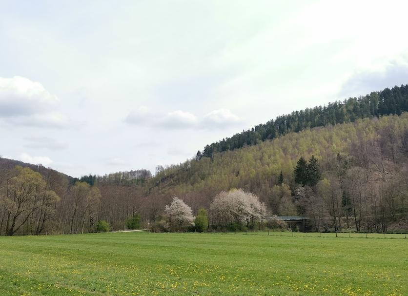 Außenansicht Foto