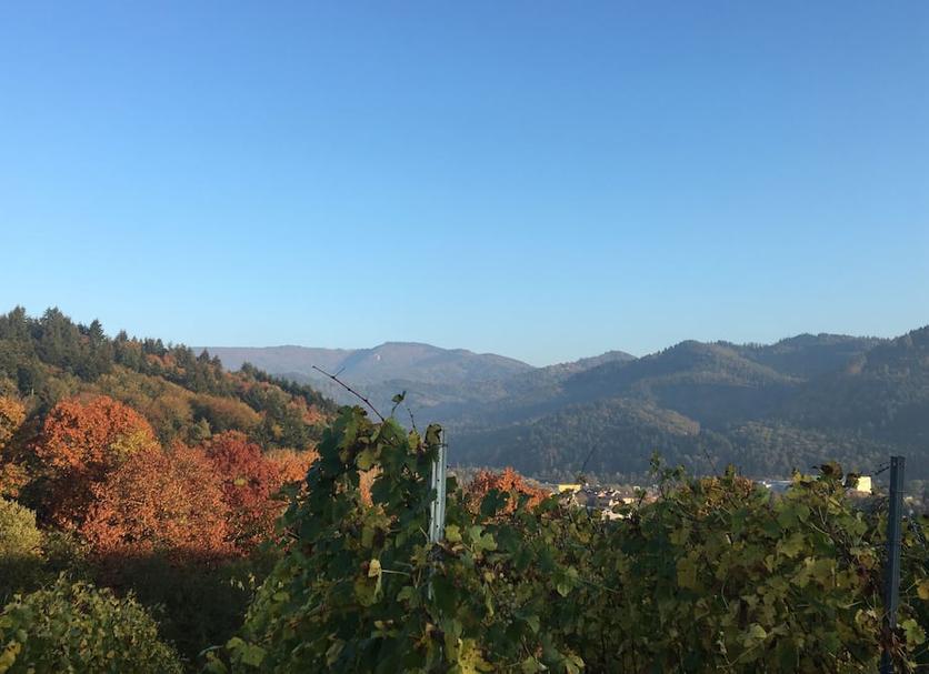Außenansicht Foto