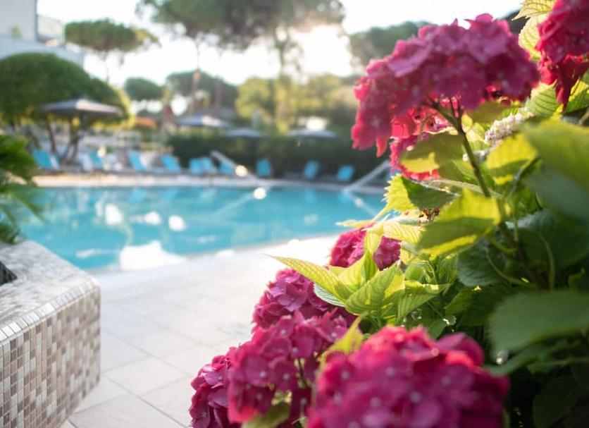 Pool Foto