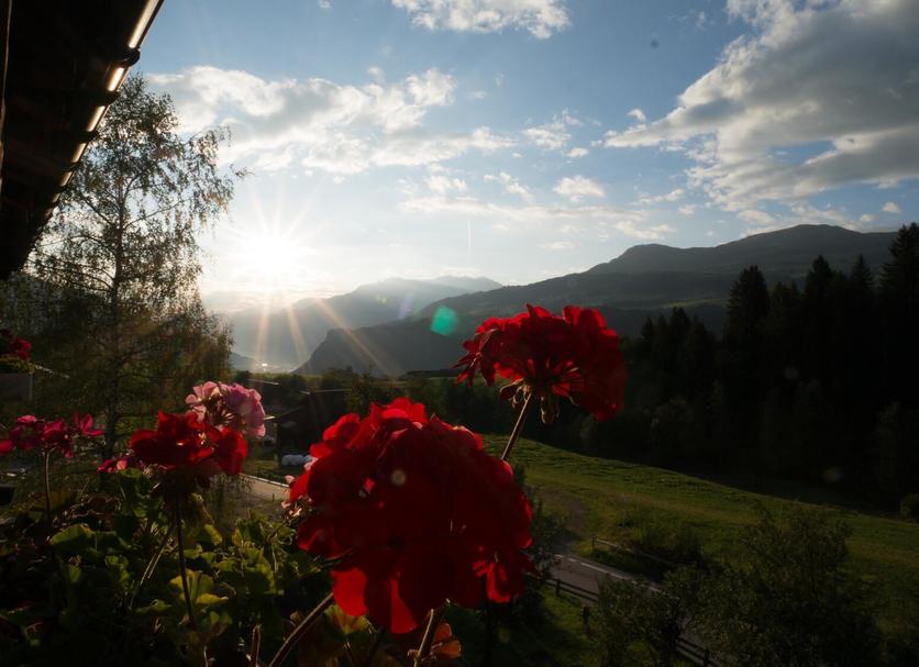 Außenansicht Foto
